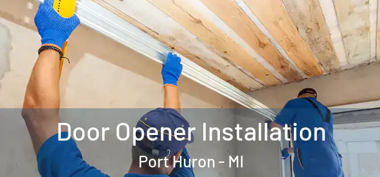  Door Opener Installation Port Huron - MI