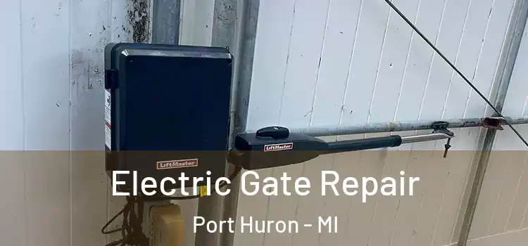  Electric Gate Repair Port Huron - MI