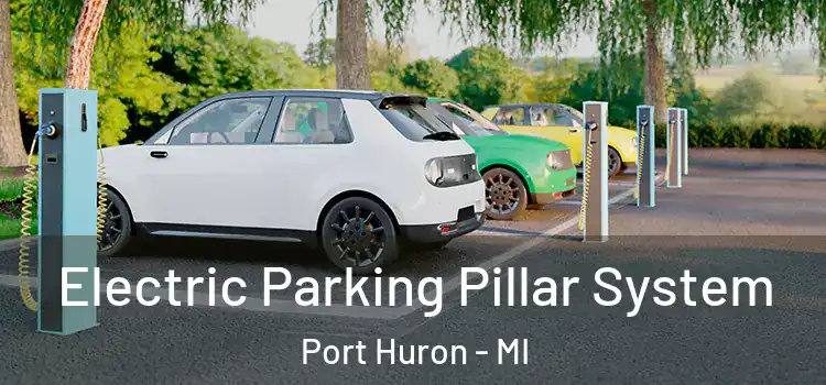  Electric Parking Pillar System Port Huron - MI