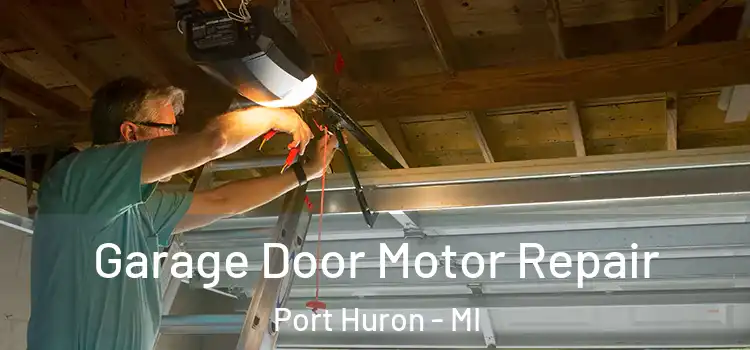  Garage Door Motor Repair Port Huron - MI