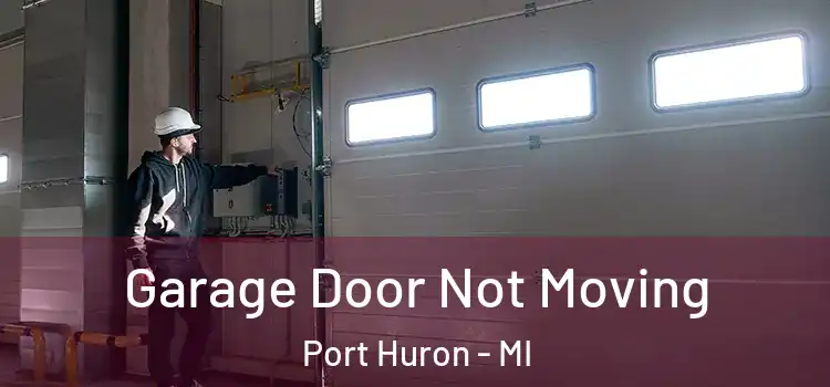  Garage Door Not Moving Port Huron - MI