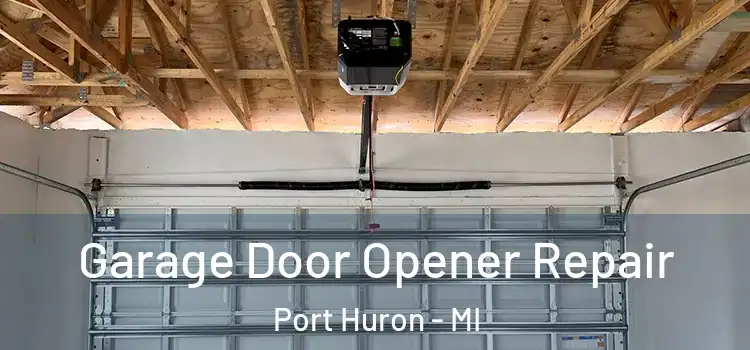  Garage Door Opener Repair Port Huron - MI