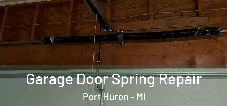  Garage Door Spring Repair Port Huron - MI