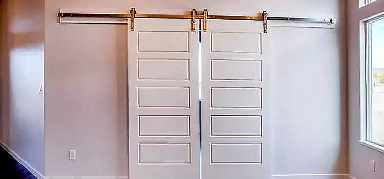 Glass Barn Door with Installation Hardware Kit Port Huron
